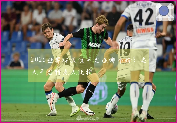 2026世界杯投注平台选哪个好？各大平台特点大比拼