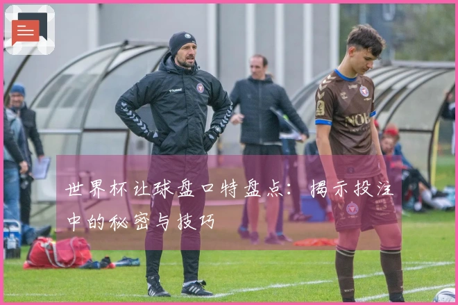 世界杯让球盘口特盘点：揭示投注中的秘密与技巧