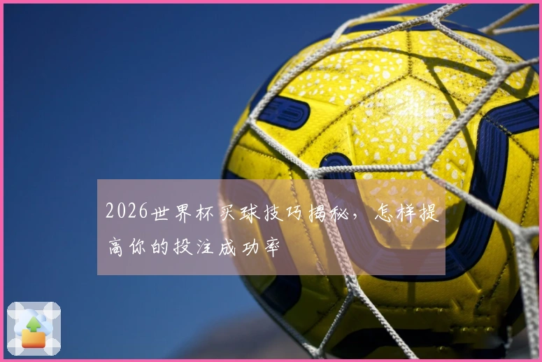 2026世界杯买球技巧揭秘，怎样提高你的投注成功率