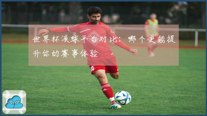 世界杯滚球平台对比：哪个更能提升你的赛事体验