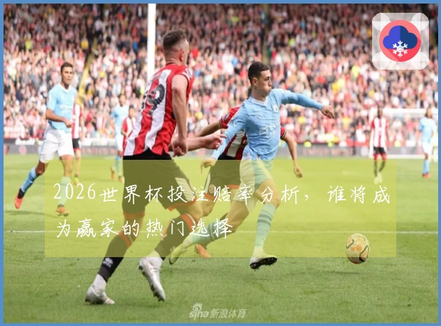 2026世界杯投注赔率分析，谁将成为赢家的热门选择