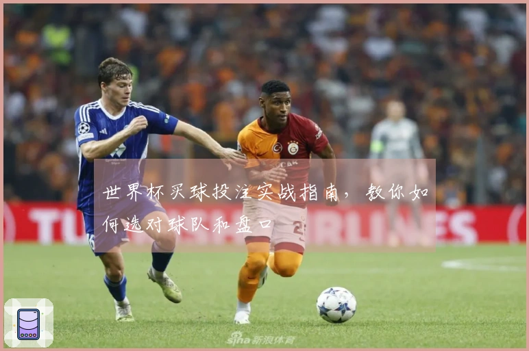 世界杯买球投注实战指南，教你如何选对球队和盘口