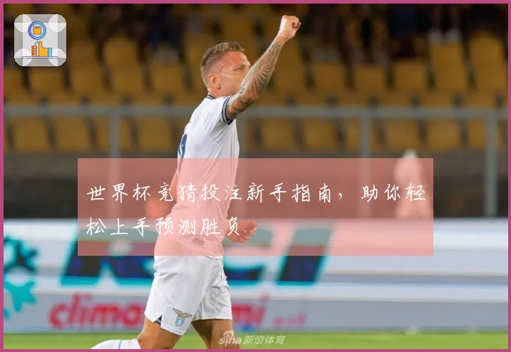 世界杯竞猜投注新手指南，助你轻松上手预测胜负