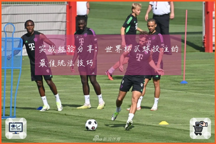 实战经验分享：世界杯买球投注的最佳玩法技巧