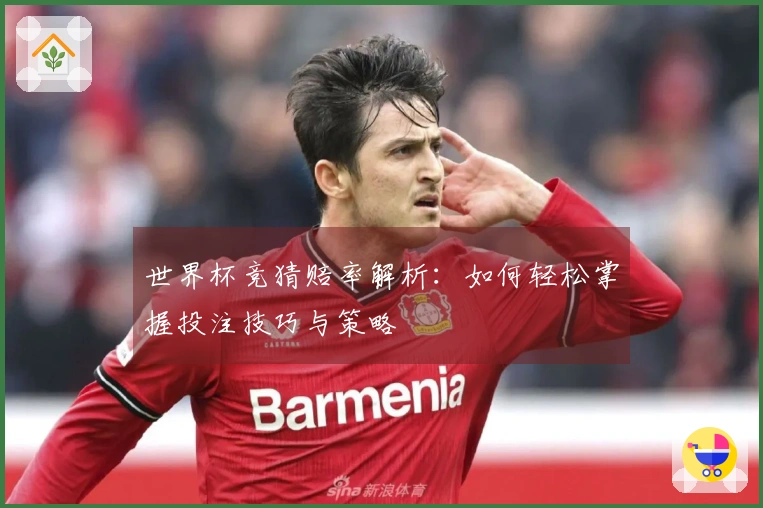 世界杯竞猜赔率解析：如何轻松掌握投注技巧与策略