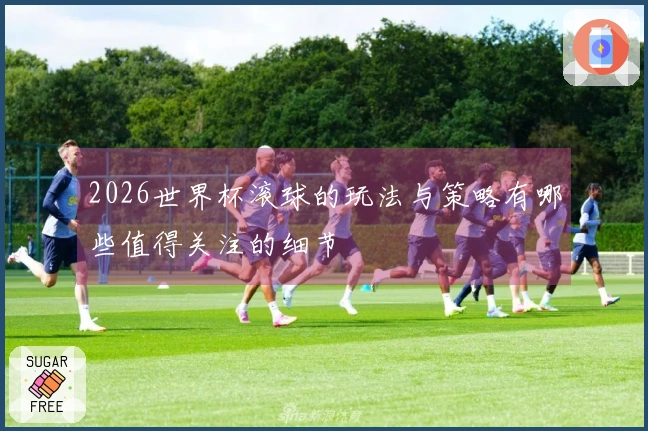 2026世界杯滚球的玩法与策略有哪些值得关注的细节