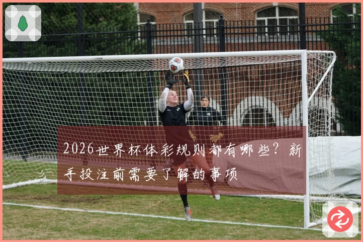 2026世界杯体彩规则都有哪些？新手投注前需要了解的事项