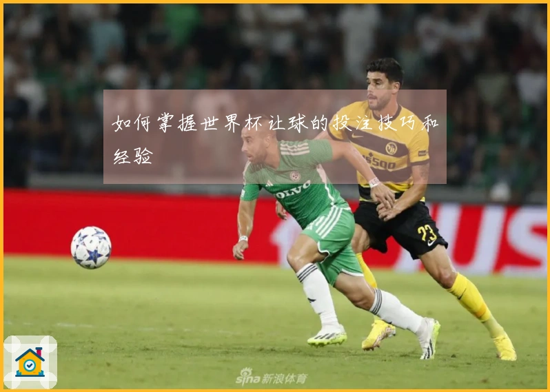 如何掌握世界杯让球的投注技巧和经验