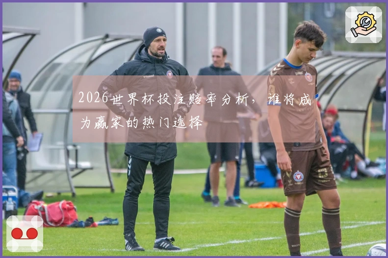 2026世界杯投注赔率分析，谁将成为赢家的热门选择