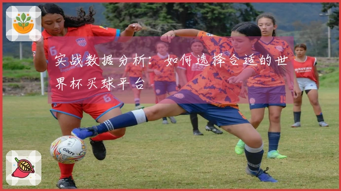 实战数据分析：如何选择合适的世界杯买球平台